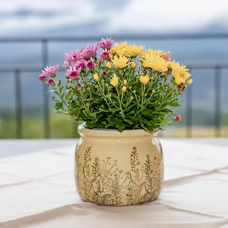 Bauernhof Bacherhof *